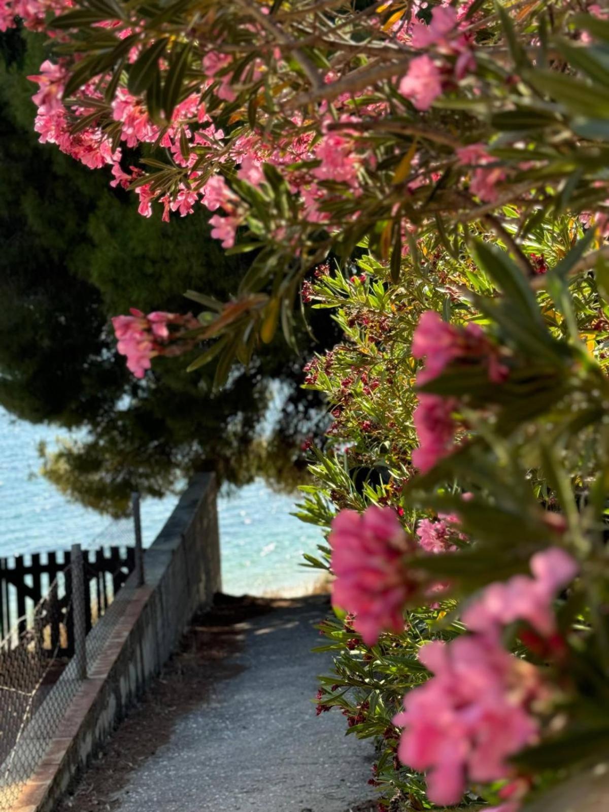 Villa Stadi Nikiti  Exterior photo